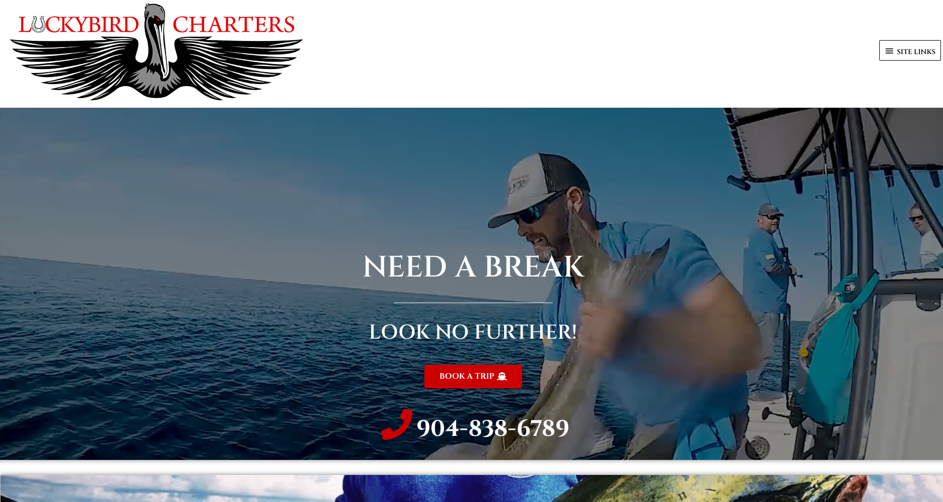 Luckybird Charters Website | Media